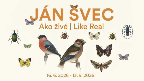 Danubiana Aktuálne Výstavy